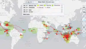 Rotas Migratórias Marinhas Invisíveis, Mas Essenciais