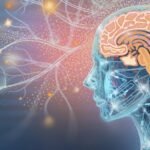 É Possível Fazer Upload da Mente Humana Para Um Computador? Um Neurocientista Reflete Sobre o Que é Possível