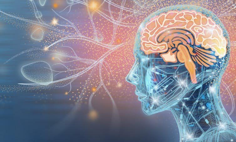 É Possível Fazer Upload da Mente Humana Para Um Computador? Um Neurocientista Reflete Sobre o Que é Possível