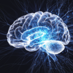 Cafeína Cérebro: Como Altera o Sistema Elétrico de Freio Neural